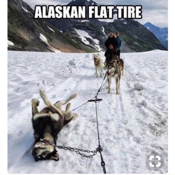 Malfunctioning. Please like new listing - Picture 7 of 8